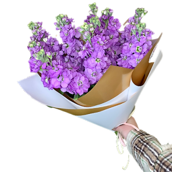 Linneja gatavais pušķis