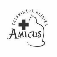 amicus