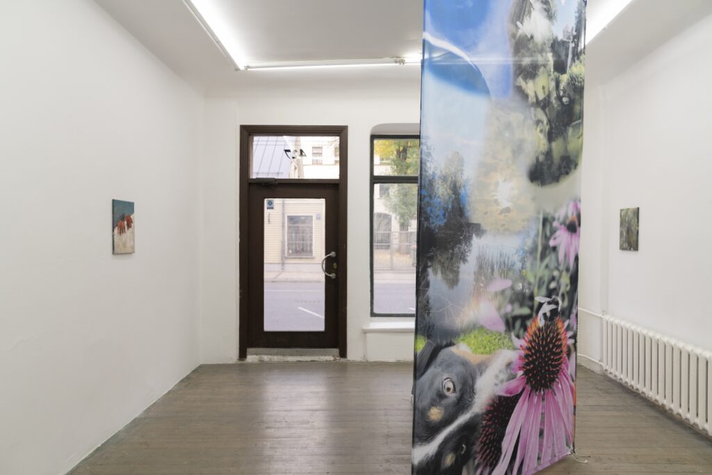 Mākslas galerijas telpa